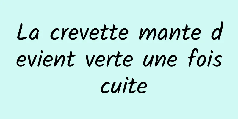 La crevette mante devient verte une fois cuite