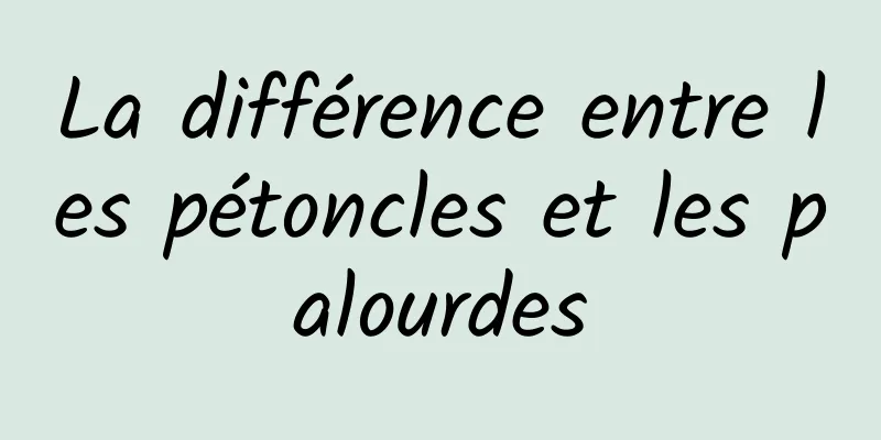 ​La différence entre les pétoncles et les palourdes