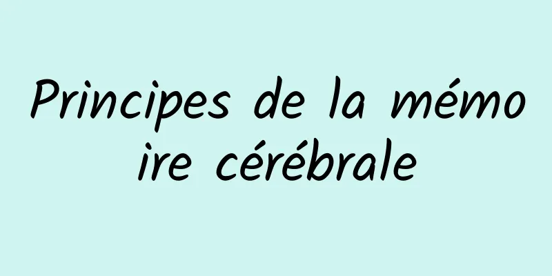 Principes de la mémoire cérébrale