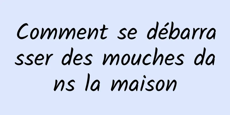 Comment se débarrasser des mouches dans la maison