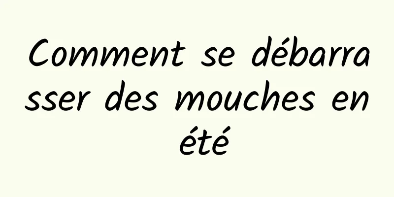 Comment se débarrasser des mouches en été
