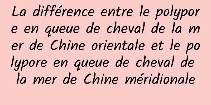 La différence entre le polypore en queue de cheval de la mer de Chine orientale et le polypore en queue de cheval de la mer de Chine méridionale