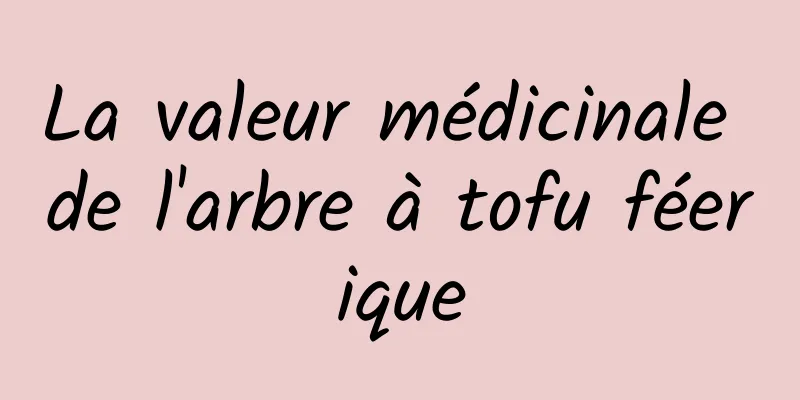 ​La valeur médicinale de l'arbre à tofu féerique