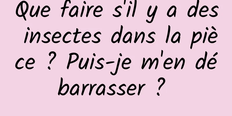 Que faire s'il y a des insectes dans la pièce ? Puis-je m'en débarrasser ? 