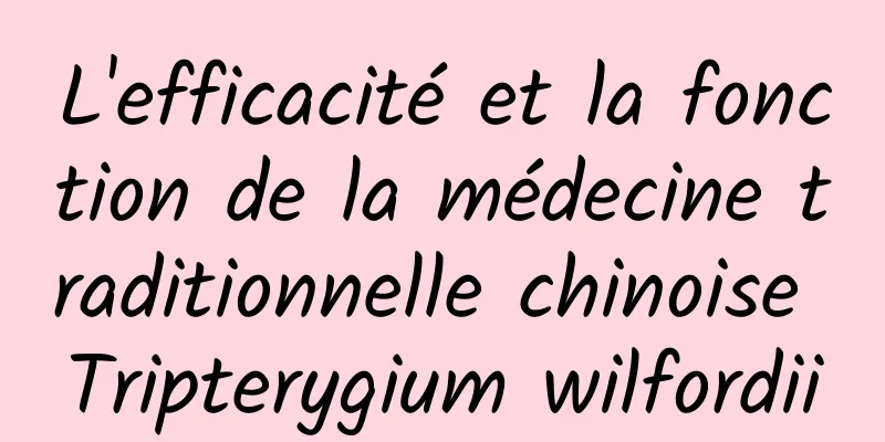 L'efficacité et la fonction de la médecine traditionnelle chinoise Tripterygium wilfordii