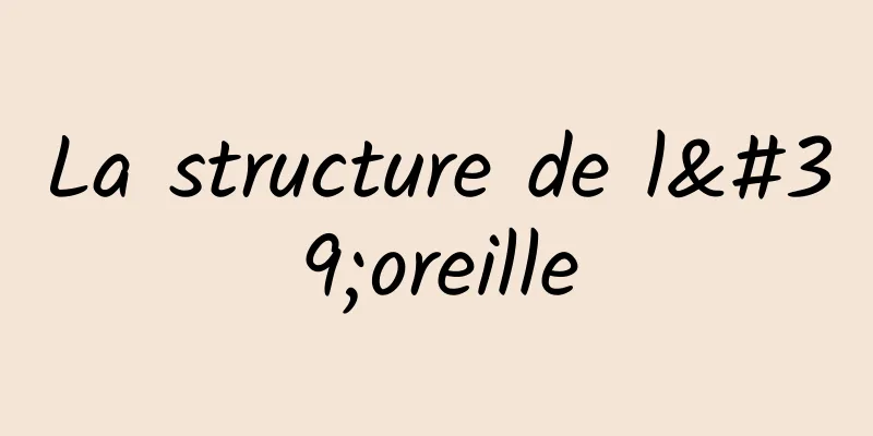 La structure de l'oreille