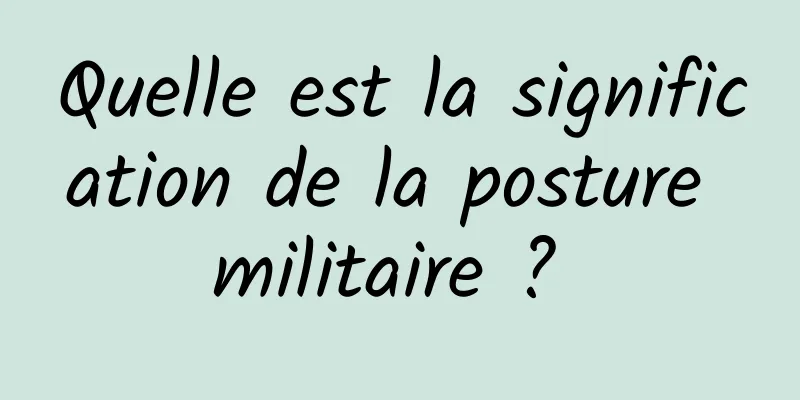 Quelle est la signification de la posture militaire ? 