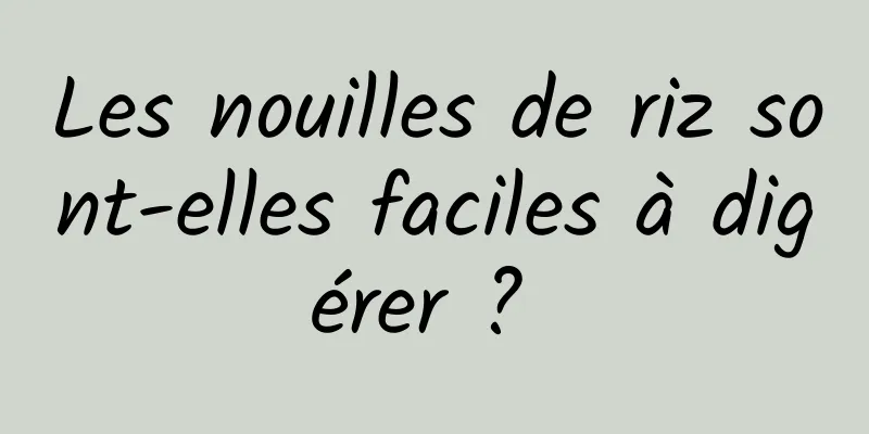 Les nouilles de riz sont-elles faciles à digérer ? 