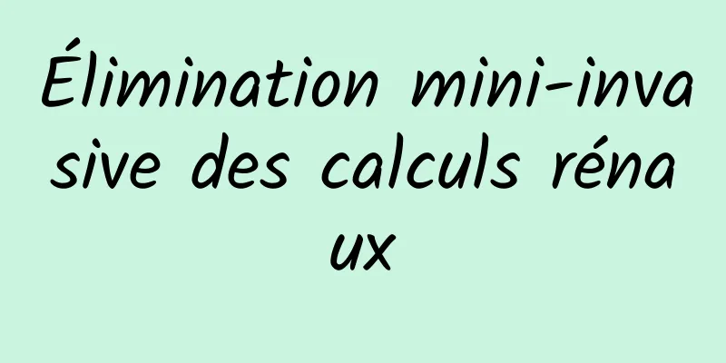Élimination mini-invasive des calculs rénaux