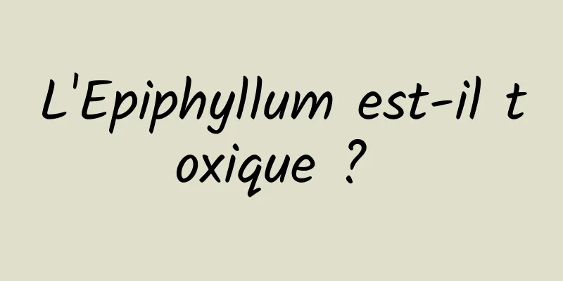 L'Epiphyllum est-il toxique ? 