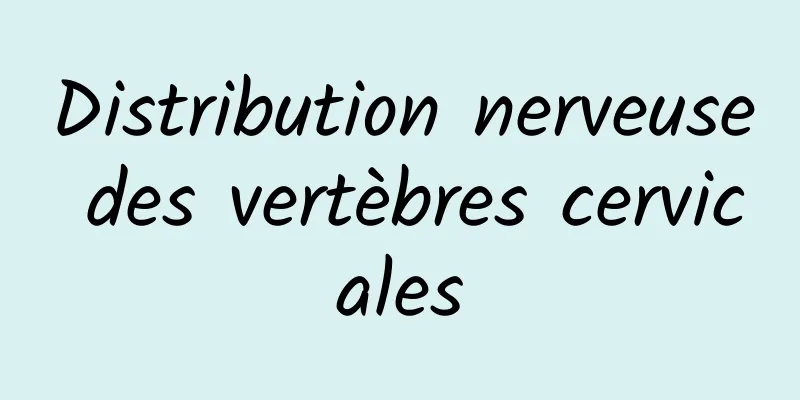 Distribution nerveuse des vertèbres cervicales
