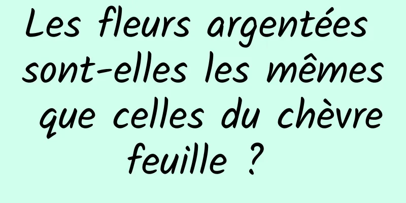 Les fleurs argentées sont-elles les mêmes que celles du chèvrefeuille ? 