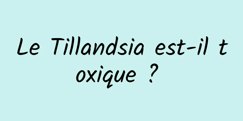 Le Tillandsia est-il toxique ? 