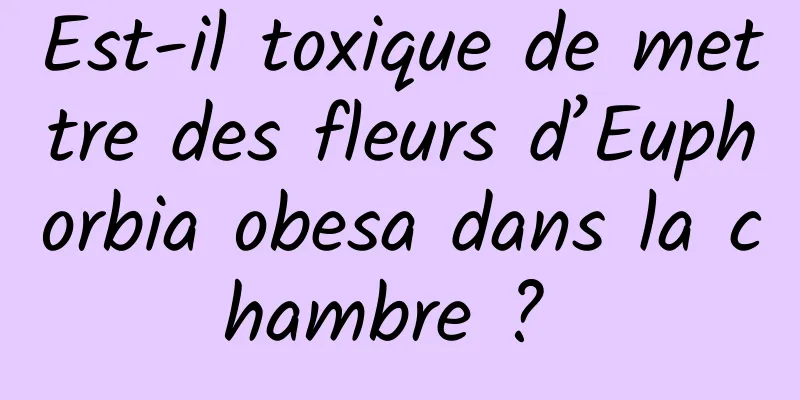 Est-il toxique de mettre des fleurs d’Euphorbia obesa dans la chambre ? 