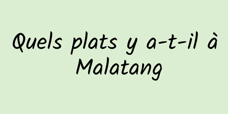 Quels plats y a-t-il à Malatang