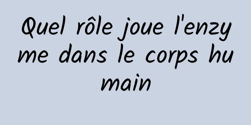 Quel rôle joue l'enzyme dans le corps humain