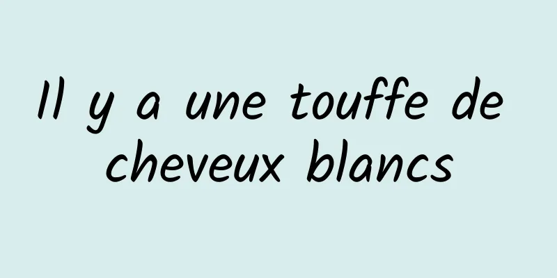 Il y a une touffe de cheveux blancs