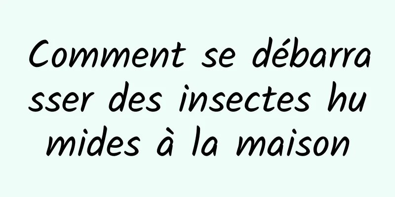 Comment se débarrasser des insectes humides à la maison