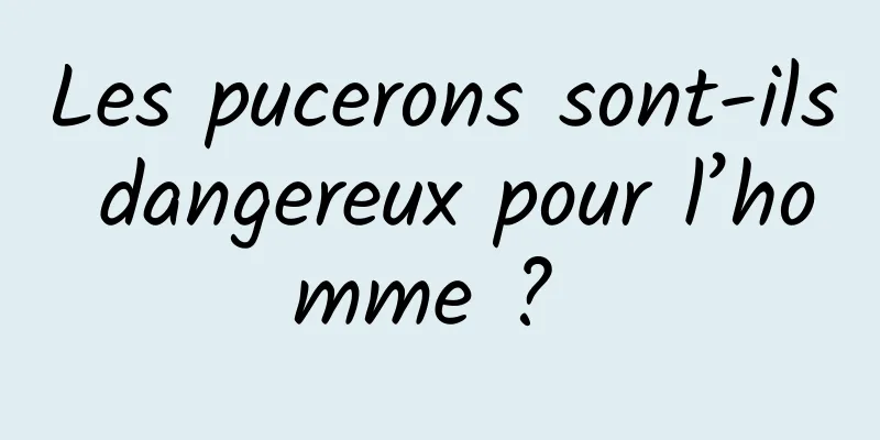 Les pucerons sont-ils dangereux pour l’homme ? 
