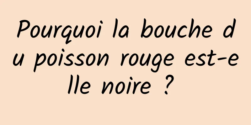 Pourquoi la bouche du poisson rouge est-elle noire ? 