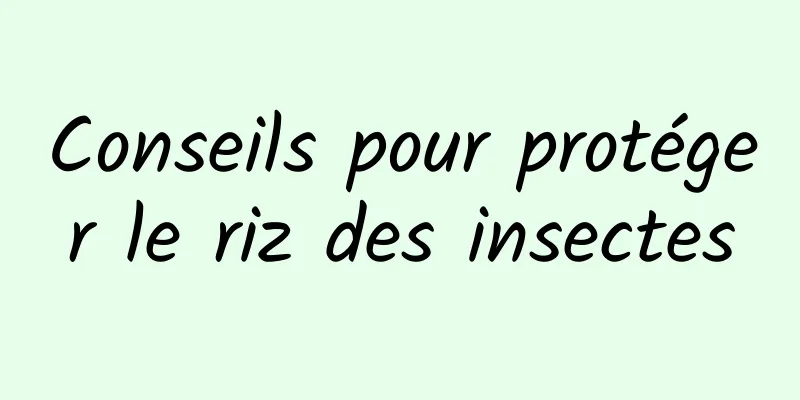 Conseils pour protéger le riz des insectes