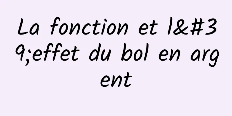 La fonction et l'effet du bol en argent