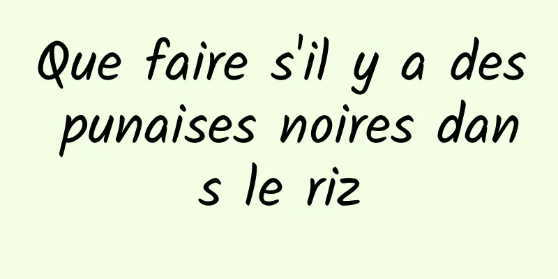 Que faire s'il y a des punaises noires dans le riz