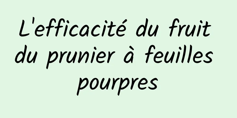 L'efficacité du fruit du prunier à feuilles pourpres