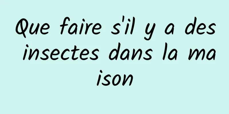 Que faire s'il y a des insectes dans la maison