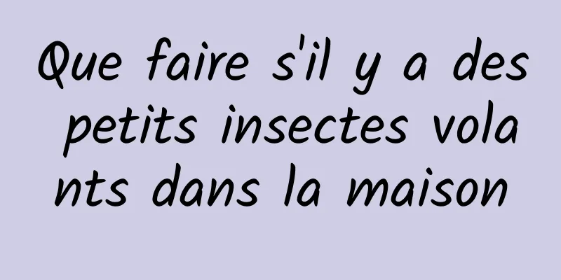 Que faire s'il y a des petits insectes volants dans la maison