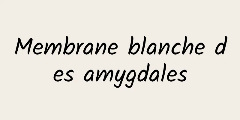 Membrane blanche des amygdales