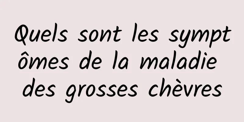 Quels sont les symptômes de la maladie des grosses chèvres