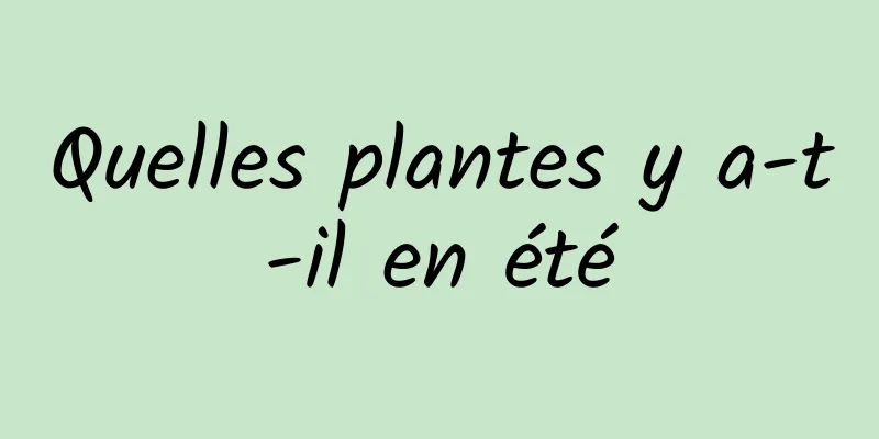 Quelles plantes y a-t-il en été