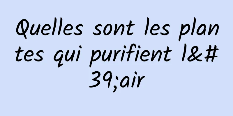 Quelles sont les plantes qui purifient l'air