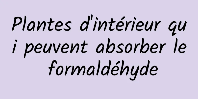 ​Plantes d'intérieur qui peuvent absorber le formaldéhyde