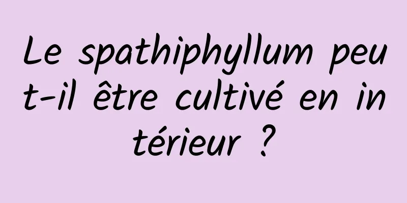 Le spathiphyllum peut-il être cultivé en intérieur ?