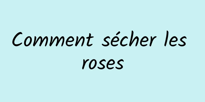 Comment sécher les roses
