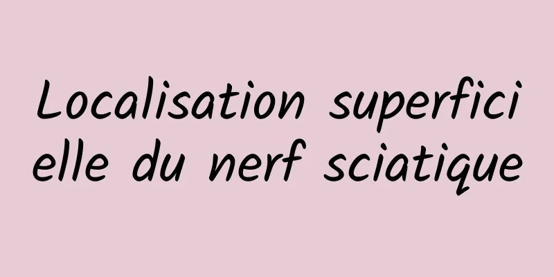 Localisation superficielle du nerf sciatique