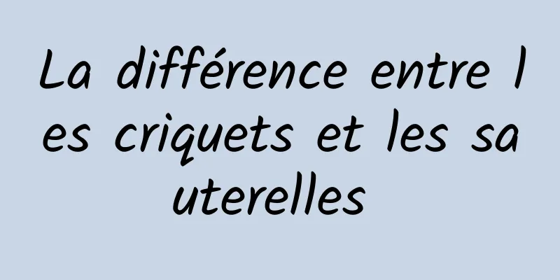 La différence entre les criquets et les sauterelles 