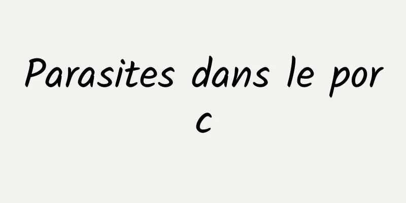 Parasites dans le porc