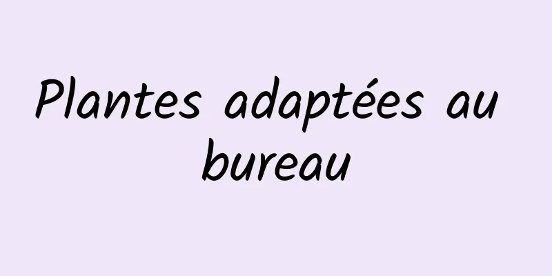 Plantes adaptées au bureau