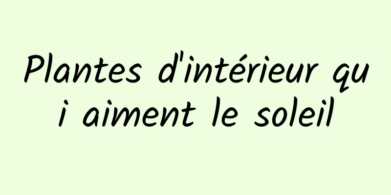 Plantes d'intérieur qui aiment le soleil