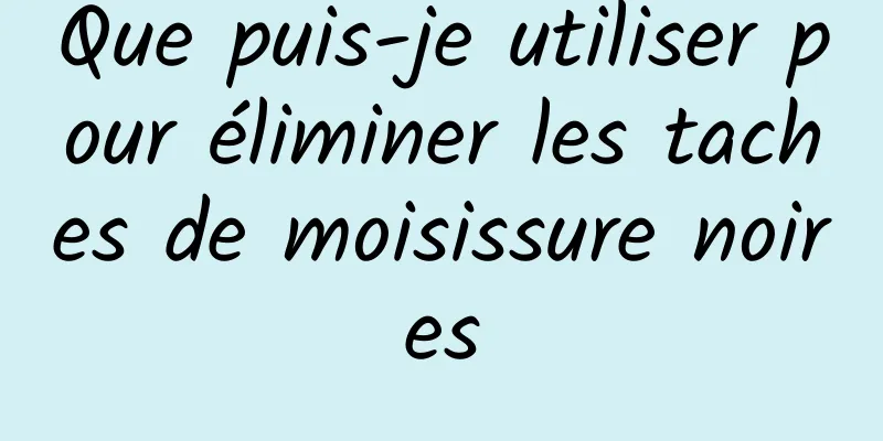 Que puis-je utiliser pour éliminer les taches de moisissure noires