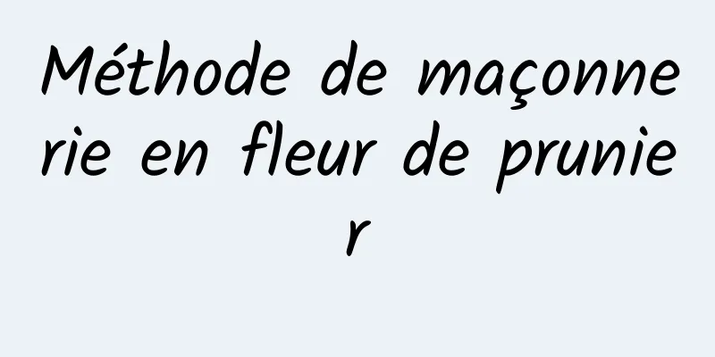 Méthode de maçonnerie en fleur de prunier