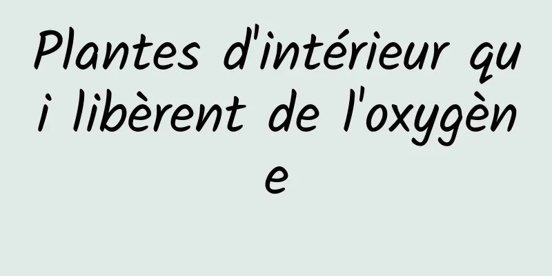 Plantes d'intérieur qui libèrent de l'oxygène