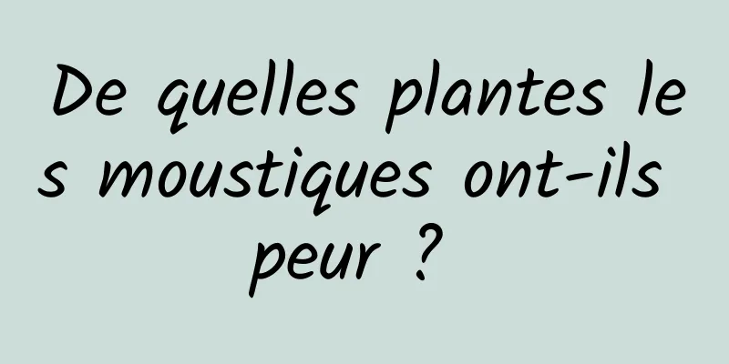 De quelles plantes les moustiques ont-ils peur ? 