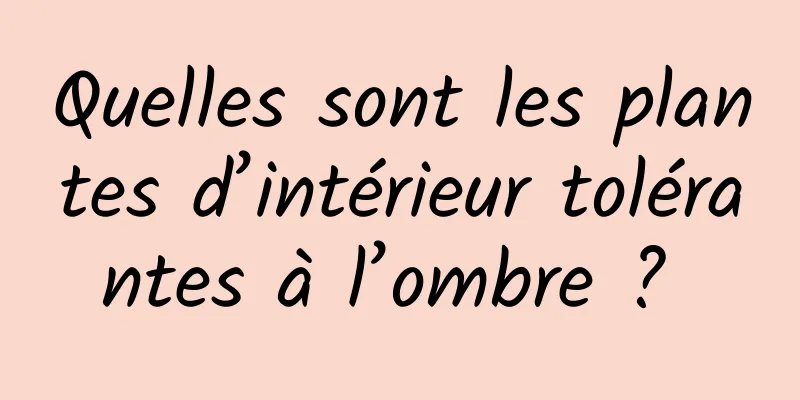 Quelles sont les plantes d’intérieur tolérantes à l’ombre ? 