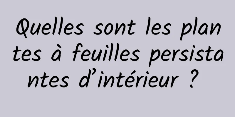 Quelles sont les plantes à feuilles persistantes d’intérieur ? 