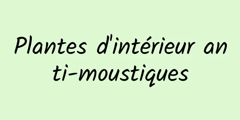 Plantes d'intérieur anti-moustiques