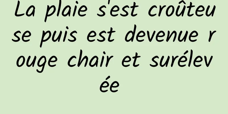 La plaie s'est croûteuse puis est devenue rouge chair et surélevée 